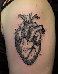 So, a realistic heart in a tattoo symbolizing love will symbolize this love without embellishment, without a touch of bouquet romance. Confessions Of A Tattoo Needle Anatomical Tattoos Real Heart Tattoos Realistic Heart Tattoo