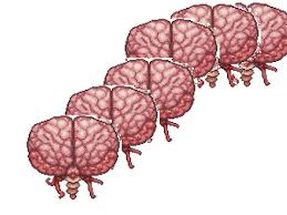 The zoomed in option allows you to download your image focused on the torso up (not displayed live). New Boss Ideas Terraria Community Forums