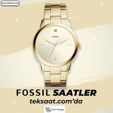 Fossil Panosundaki Pin