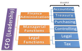 Finance Department Structure