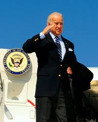 Image result for Bidens ugandensis