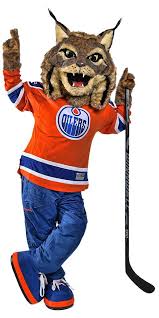 Nhl, the nhl shield, the word mark and image of the stanley cup and nhl conference logos are registered trademarks of the. Pin On Hockey