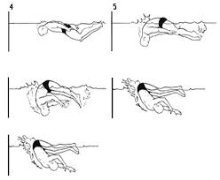 We did not find results for: Analisis De La Vuelta Profunda En El Estilo Libre En Los Atletas De La Escuela De Iniciacion Deportiva Lino Salavarria Pupo En La Categoria 10 Anos