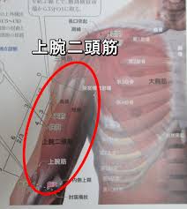 骨盤・肩甲骨はがしの大阪門真整体院