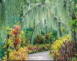 Jika anda menyukai taman indah, anda mungkin sukakan idea ini. Singapore Garden Background 800x630 Download Hd Wallpaper Wallpapertip