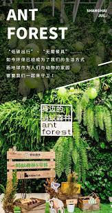森林原人上海