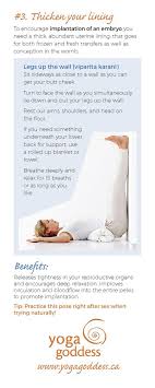 Moon Goddess Fertility Program Fertility Yoga Getting Pregnant Infertility