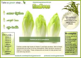 Benefits Of Eating Endives How To Stay Healthy Endive Health And Nutrition
