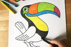 Add line around the eye, claws and tail. Toucan Free Printable Templates Coloring Pages Firstpalette Com