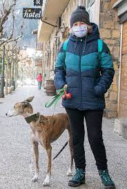 A british hiker has gone missing during a solo trip in the pyrenees mountain range on the border between france and spain. Spain Esther Dingley From Uk Missing In The Pyrenees November 2020 Page 39