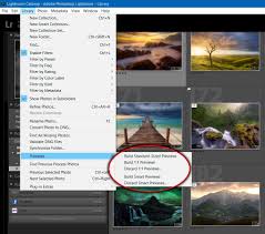 Build previews is the quality that lightroom will show your. Lightroom Catalog Management For Travel