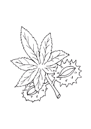 page 36 sur 39 hugolescargot com tattoo fleur de lotus coloriage tatouage livre simple pdf