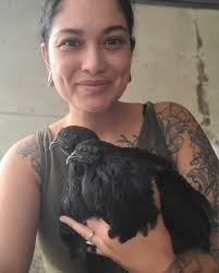 Houdan pullets for sale, 4 months old