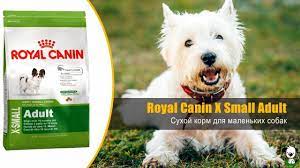 suhoj korm dlya vzroslyh sobak miniatyurnyh razmerov royal canin x small adult https zverushka org ua product suhoj korm dlja vzro miniatyurnye sobaki sobaki