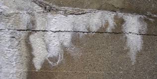 Improper installation techniques and environmental conditions are the most common. Grout Problems Can Concrete Moisture Taint Your Grout Wagner Meters