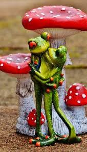 Valentine S Day Frog Wallpaper Frog Wallpaper Love Frog Wallpaper Animal Love Wallpaper Cute Frog Wallpaper Valentine Frog Wallpaper Frog Cute Frogs