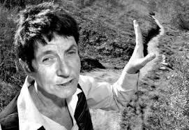 Posole Tri-City Thunder Hills Deep Valley Bloods Mesa Locos Deep Valley  Crips Crook Mob Gangsters Insane Crip Gang Center Street