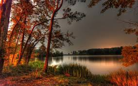 Maybe you would like to learn more about one of these? Nature Landscape Beauty Beautiful Sky Tree Lake Sunset Forest Wallpapers Hd Desktop And Mobile Backgrounds