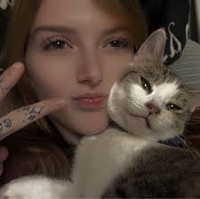 What is this new Sims feature or object?