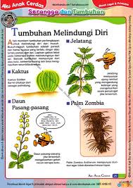 Dalam proses belajar menggunakan lapbook, anak akan belajar aneka jenis tema terkait pengembangan logika dan matematika dasar, antara lain: Ebook Legal Dan Printable Aku Anak Cerdas Serangga Dan Tumbuhan 1 Tumbuhan Melindungi Diri 27 Ebook Anak