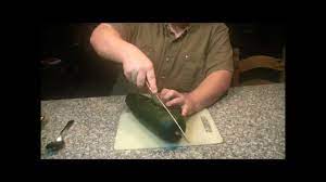 One may also ask, what is cucuzza? Harvesting Zucchini Seeds Youtube