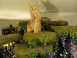Animal room cat castle cat tree house diy cat tree gato gif cat towers cat playground cat enclosure cat condo. Realistic Cat Tree By The Hollywood Kitty Company