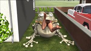 Beware of the frog - ThisVid.com