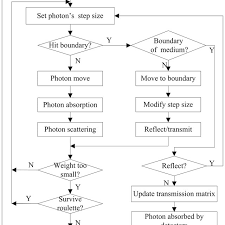 Flow Chart Of The Monte Carlo Simulation Of Light