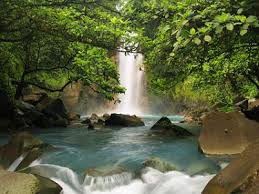 Surinam ist ein gastfreundliches land. Ein Verstecktes Fleckchen Erde Suriname Erlebnisreisen Weltweit