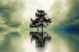 Image result for loneliness images