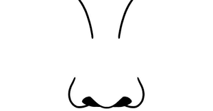 How To Draw A Nose With Easy Steps Skip To My Lou To do this, you can add a slightly curved nose as you could see, it was quite easy to learn how to draw an anime nose. how to draw a nose with easy steps
