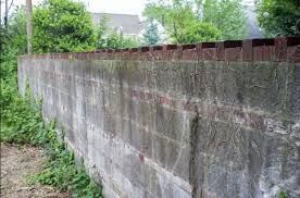 Family History Da Cruz Scott