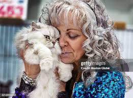 4,365 Cat King Stock Photos, High-Res Pictures, and Images