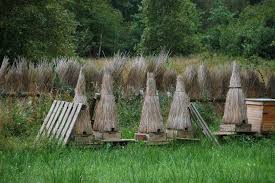 Ancient Beehives Bee Garden Backyard Beekeeping Bee Hive
