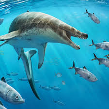 Image result for Rytigynia kigeziensis