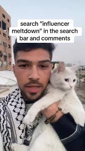 Abdullah Sumbil Cat Video