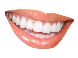 Teeth Mouth Png Transparent Background Free Download 46531 Freeiconspng Mouth zip emoji, emoticon emoji smiley mouth, emoji, zipper, face png. free icons png