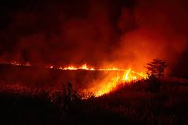 Image result for tbn:XVFRz-6Maj2JLM::www.jolmag.co.za/wildfire/images/Logos/vuvuzela_header.jpg