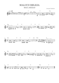 Maluco beleza – Raul Seixas Sheet music for Piano (Solo) Easy ...