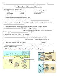 Passive And Active Transport Worksheets Biology Worksheet Active Transport Biology Passive Transport