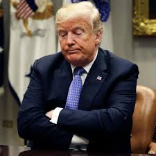 Can anyone believe that princeton just dropped the name of woodrow wilson from their highly respected policy center. An Internet Without Trump Wired
