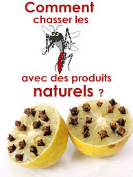 Comment Chasser Les Moustiques Avec Des Produits Naturels Naturelle Moustique Piqure De Moustique