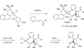 Having two teeth or toothlike parts or processes | meaning, pronunciation, translations and examples. Metal Effects On The Asymmetric Syntheses Of Chiral P N Bidentate Ligands Sciencedirect