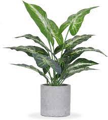 Free delivery and returns on ebay plus items for plus members. Buy Jc Nateva 16 Small Fake Plants Artificial Potted Faux Plants For Office Desk Shelf Bathroom Home Decor Online In Indonesia B08gkd2mxw
