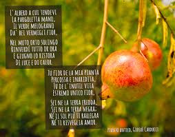 Immagine in miniatura