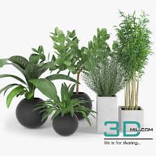 458 Plant 3dsmax File Free Download 3d Mili Download 3d Model Free 3d Models 3d Model Download Plants The Slate File Free