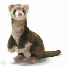 Ferit şahenk ile karısı diana şahenk'in 1989 yaptıkları evliliklerinden defne şahenk adında bir kızları var. New Ferret Ferit Ferrit Stuffed Plush 12 5 Hansa 4556 253104860