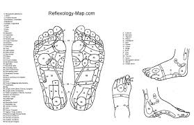 The Foot Reflexology Map In Pdf File Foot Chart Foot