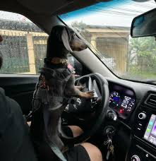 Aprovechando los ratitos de sol