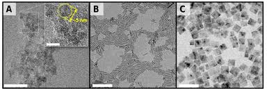 TEM micrographs of synthesized titania nanocrystals (TNCs): (A) titania... 